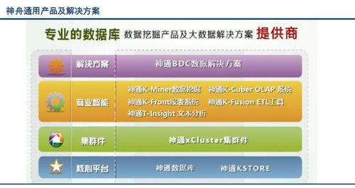 國內外市場上數(shù)據(jù)庫系統(tǒng)的主要產品及其功能概覽